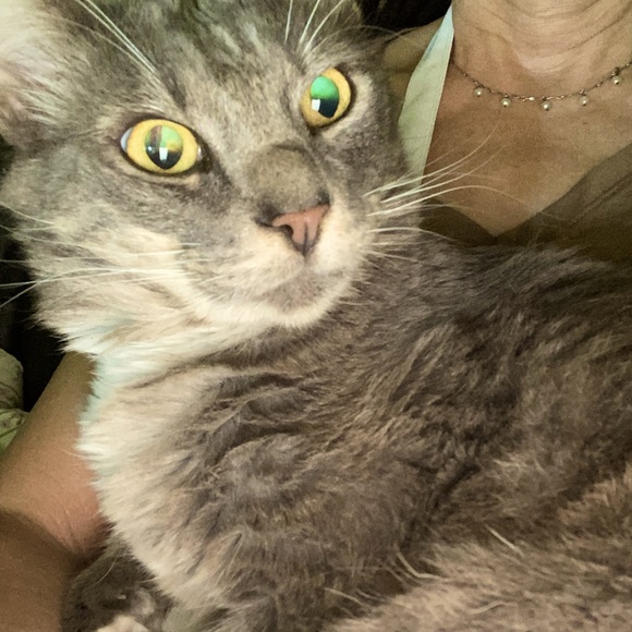 Meet your Posher, Linda - Picture 8 of 10